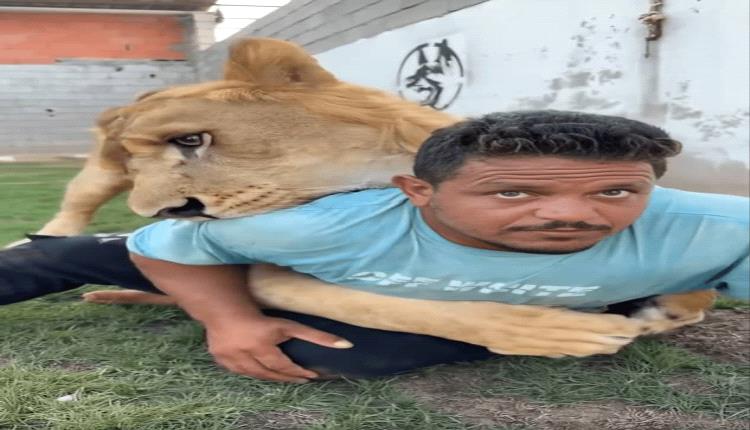 حبس مروض الأسود بعد اصابة المئات بحالات رعب