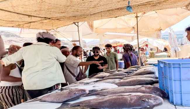 هيئة المصائد السمكية في صيرة تضبط كمية من الأسماك المتعفنة وتتلفها
