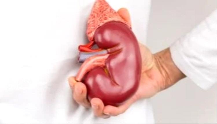 دراسة تثبت فعالية دواء للإمساك فى علاج مرض الكلى المزمن