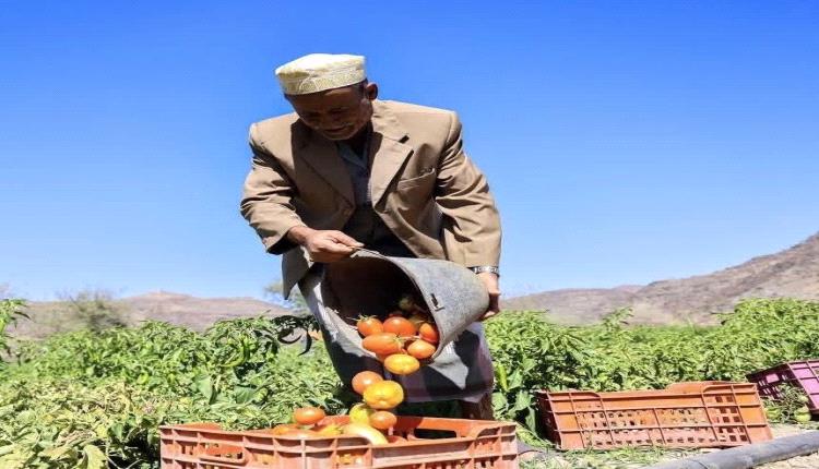 خطة طوارئ أممية في اليمن
