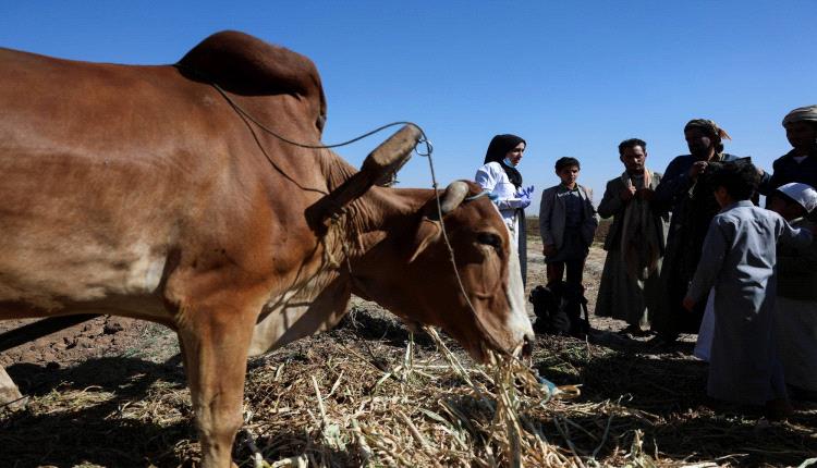 جبايات الحوثيين تعمّق الركود الاقتصادي وتغلق عشرات الشركات
