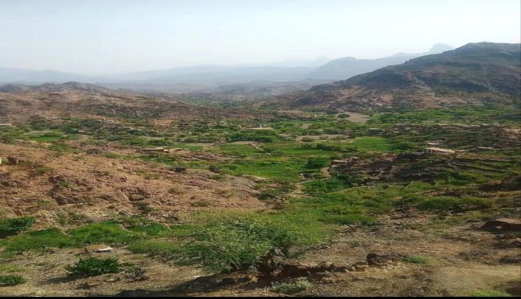 الحوثيون يقصفون قرية سكنية في الضالع 