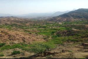 ميليشيا الحوثي تشن قصفاً مكثفاً على منازل المواطنين في قرى عهامة محافظة لحج
