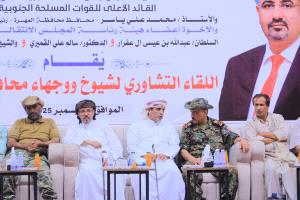 اصطفاف قبلي غير مسبوق في المهرة دعماً لانتصارات القوات الجنوبية