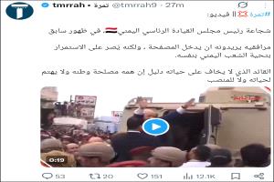 حرب "الذباب الإلكتروني".. حملة سعودية مكثفة لتلميع "العليمي" تعمق الفجوة مع الشارع الجنوبي