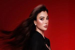 بقرار من المحكمة.. عودة هيفاء وهبي للغناء في مصر بعد أشهر من المنع
