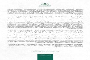 سلمان :  بيان الخارجية السعودية كسر سابق تحفظات سياسة المملكة ، في إدارة الأزمات تحت ساتر من دخان وضبابية ومواقف الغموض