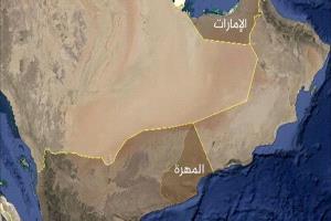 ‏صرفيت ليست ساحة للمزايدة.. فضيحة الجهل المقنّع بالوطنية
