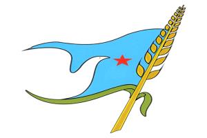 الحزب الاشتراكي في الجنوب : معركتنا اليوم ليست معركة طرف ضد طرف، بل هي معركة وجود وهوية ومستقبل