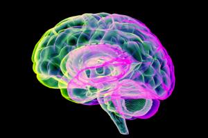 السبب الرئيسي وراء تلف الدماغ !