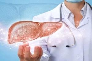 ماذا يحدث للكبد عندما تتناول الكثير من السكر؟