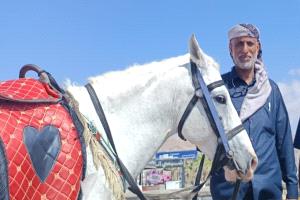 أترك الخيل لخياله
