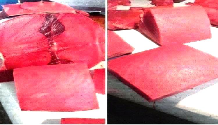 
أسعار الأسماك اليوم الاثنين فى عدن 3 نوفمبر 2025م