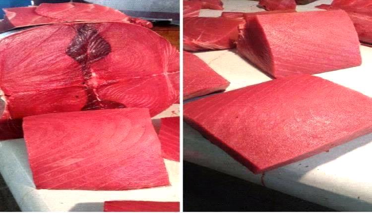 أسعار الأسماك اليوم الجمعة فى عدن 7 نوفمبر  2025م