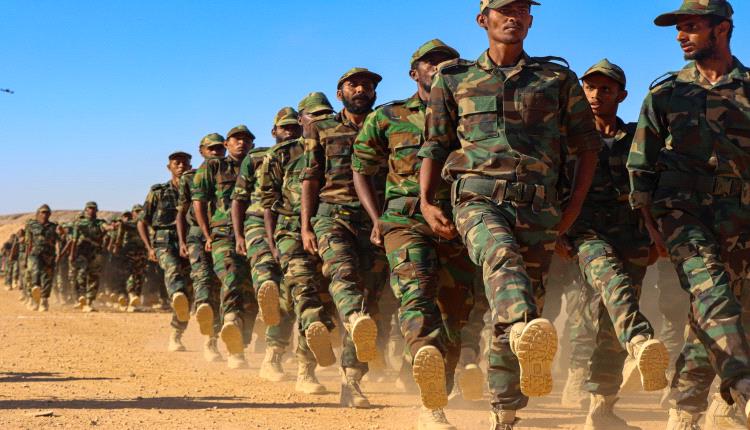 قوات دفاع شبوة تُعلن جاهزية اللواء الثامن باستعراض عسكري جنوبي مهيب بحضور قيادات بارزة