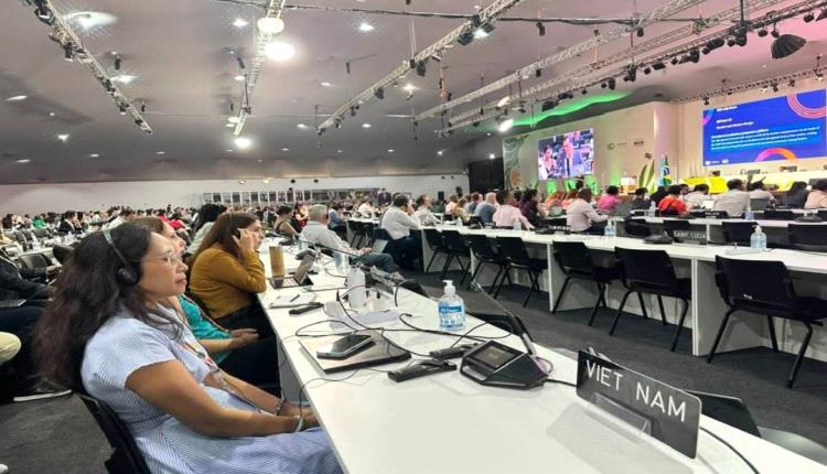 صدمنا نحن المتخصصون بعلوم المناخ من حجم المشاركين اليمنيين في مؤتمر كوب 30