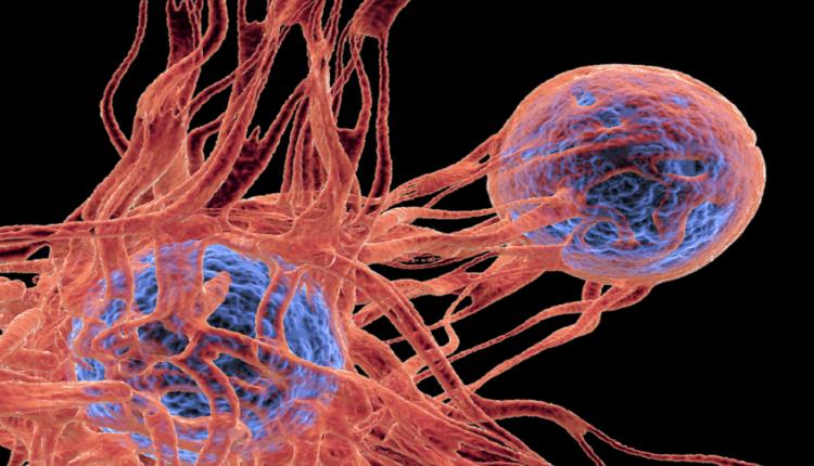 اقتراب التوصل الى علاج نهائي وجذري لمرض السكري !