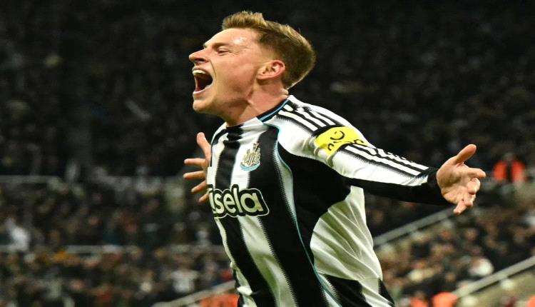 بعد خسارتين متتاليتين.. نيوكاسل يعود لطريق الانتصارات في البريميرليج بالفوز على مانشستر سيتي