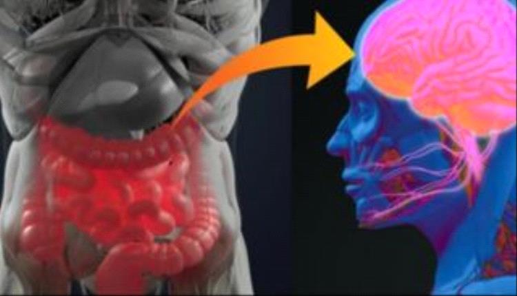 لماذا يلعب «دماغ الأمعاء» دورا رئيسيا في تحفيز الحساسية؟