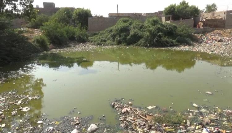 عشرات الاسر في مقيبرة بلحج تواجه خطر التلوث بسبب تراكم مستنقعات الصرف الصحي