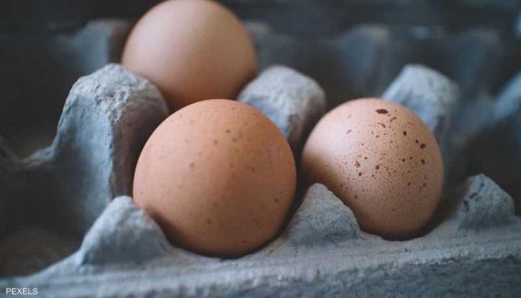 دراسة تحسم الجدل بشأن لون البيض الأكثر فائدة، الأبيض أم البني؟