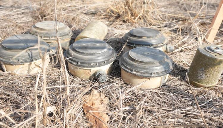 "مسام" ينزع (805) ألغام من الأراضي اليمنية خلال أسبوع