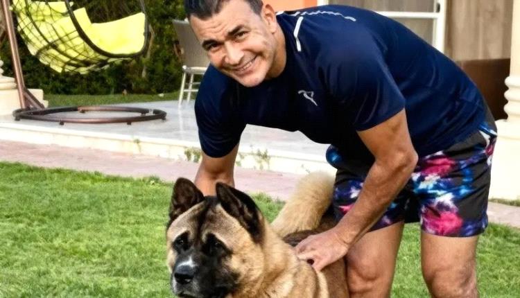 مصر.. القبض على عصام الحضري بسبب "عضة كلب"
