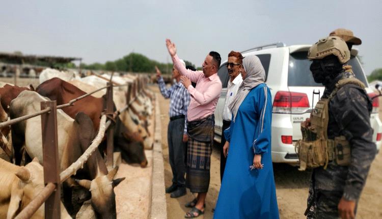 نيابة الصناعة والتجارة بالعاصمة عدن تعيد تدوير 485 كيس دقيق فاسد