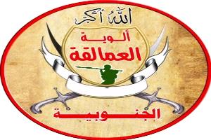 السقلدي: قوات العمالقة تعاملت مع طائرة مسيّرة معادية حلّقت في أجواء باب المندب وميون