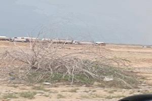 العناصر المتطرفة التي جلبها بن حبربش لمساعدته في قتال النخبة تتمرد عليه وتخنق مناطق الهضبة والمشقاص