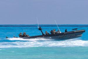 البحث جار عن ناجين قطع بحرية معادية تغرق زورقا لقوات حماية باب المندب 