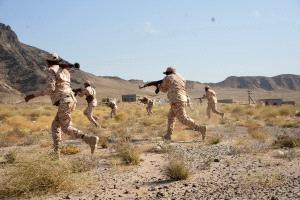 العمالقة الجنوبية تُظهر جاهزية قتالية خلال تمرين تكتيكي بمحاكاة عمليات اقتحام(صور)