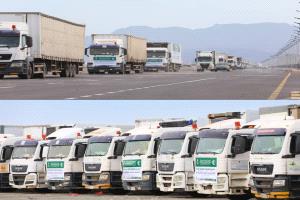 وصول 20 شاحنة مساعدات غذائية مقدمة من مركز الملك سلمان إلى عدن