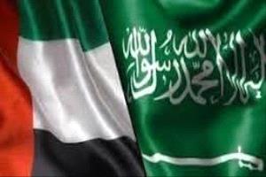 الإمارات خرجت من المستنقع اليمني... والسعودية بقيت في قلبه.
