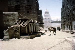 هل كنتم أصحاب مشروع حقًا.. أم مجرد ظاهرة صوتية؟
