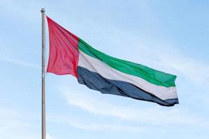 الإمارات تدين هجوم الحوثيين على نجران وتؤكد دعمها الكامل للسعودية