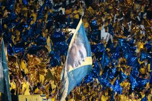 رسميا.. النصر السعودي يبرم صفقته الأولى في الميركاتو الصيفي
