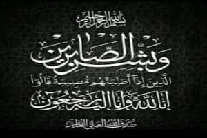 محافظ العاصمة عدن يُعزي محافظ شبوة بوفاة عمه القاضي محمد الديولي