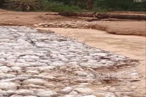 حبس مسؤول حكومي في حضرموت على إثر بلاغ عن مشروع خدمي تنموي طاله الخراب