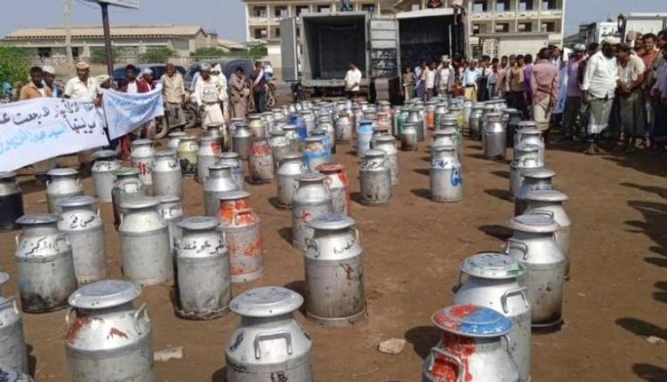 انهيار «الذهب الأبيض» في تهامة اليمنية.. قرار حوثي يهدد منتجي الحليب
