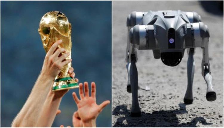 المكسيك تستعين بـ"كلاب روبوتية" في كأس العالم