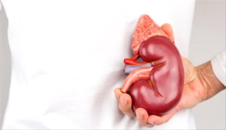 5 علامات مبكرة لمشاكل الكلى