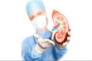 أخطاء نمط الحياة الشتوية  قد تضر بالكلى خلال فصل الشتاء