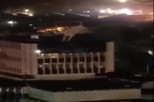 ماذا جنيتم من توجيه إنزال صورة الرئيس الزُبيدي؟ 