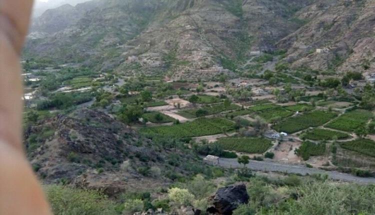 أهالي منطقة "أعمور" بالضالع ينفون تعرضهم لهجمات بطيران مسيّر