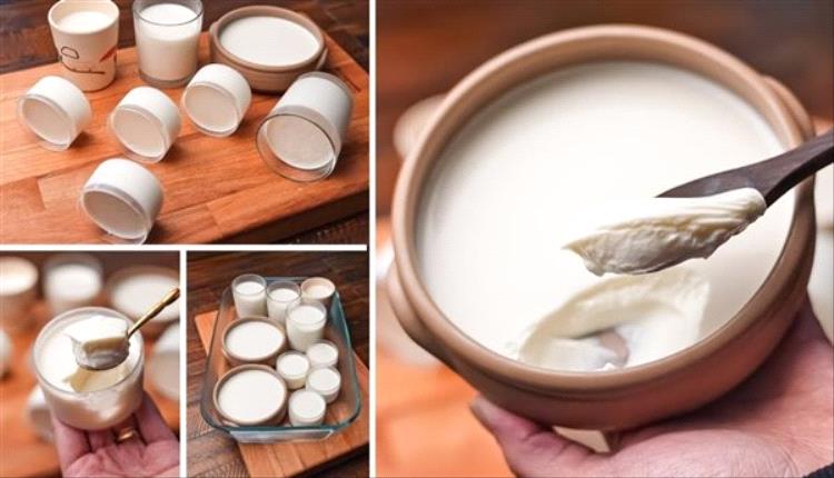 يدعم صحة العظام.. فوائد تناول الزبادي 
