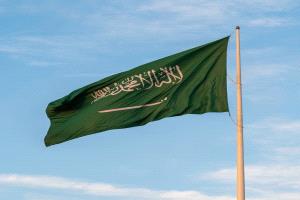 تفاصيل الدعم السعودي المقدم للحكومة اليمنية