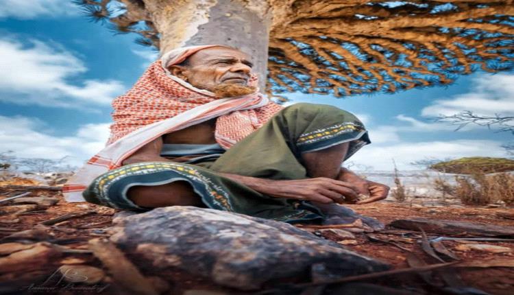 سقطرى .. هوية لا تموت