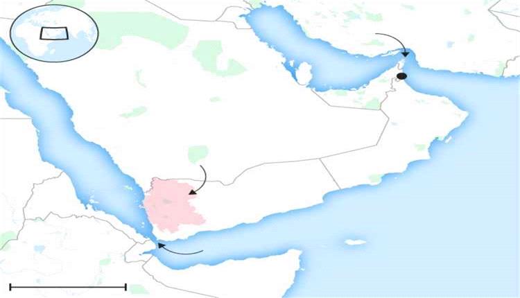صحيفة بريطانية تكشف خطة إيرانية لتعزيز السيطرة على باب المندب