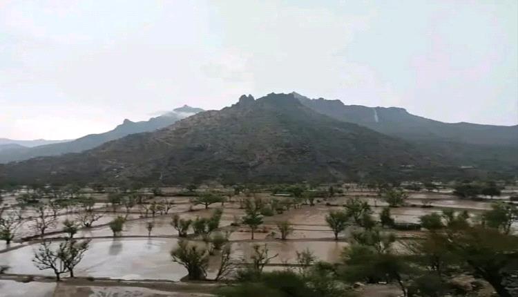 بشائر الخير والبركة تهل على أزارق الضالع